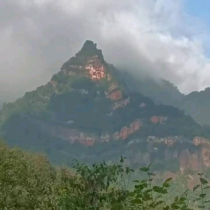 养身传业