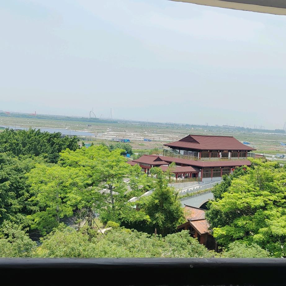 顺其自然