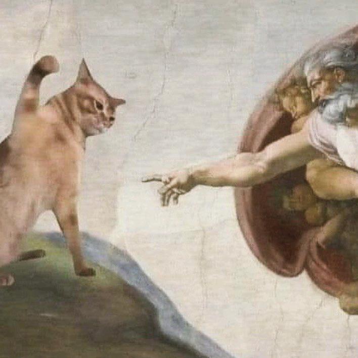 ✿✿ヽ(°▽°)ノ✿