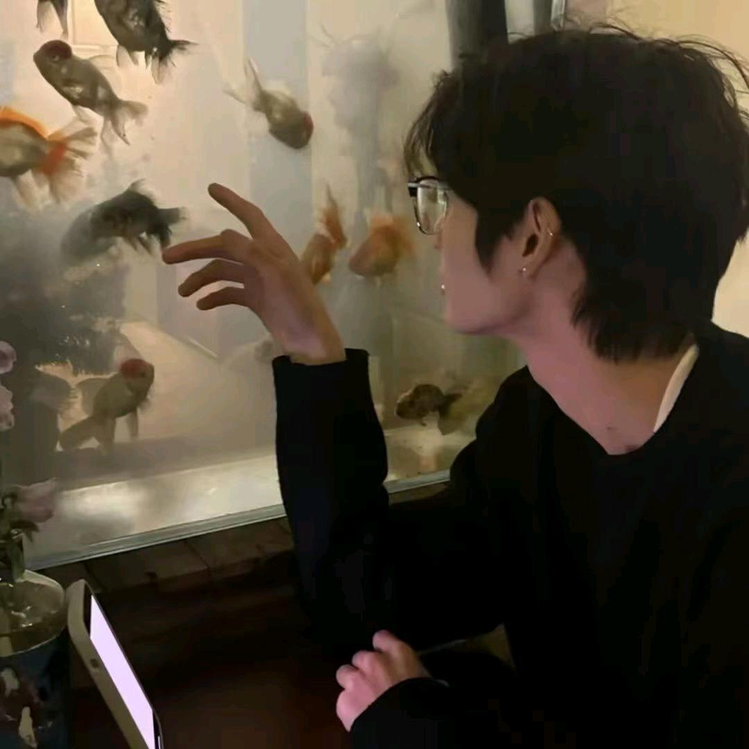 A辰