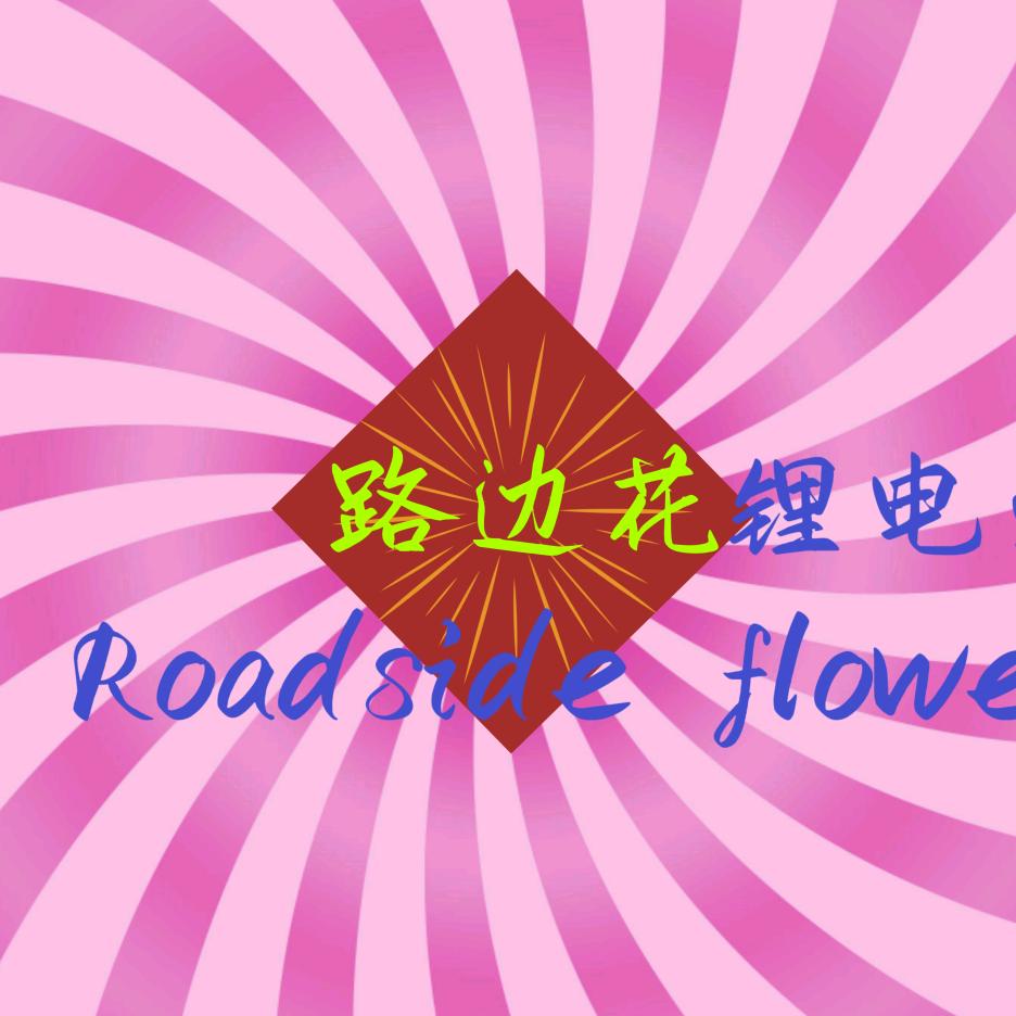 路边花钠电池