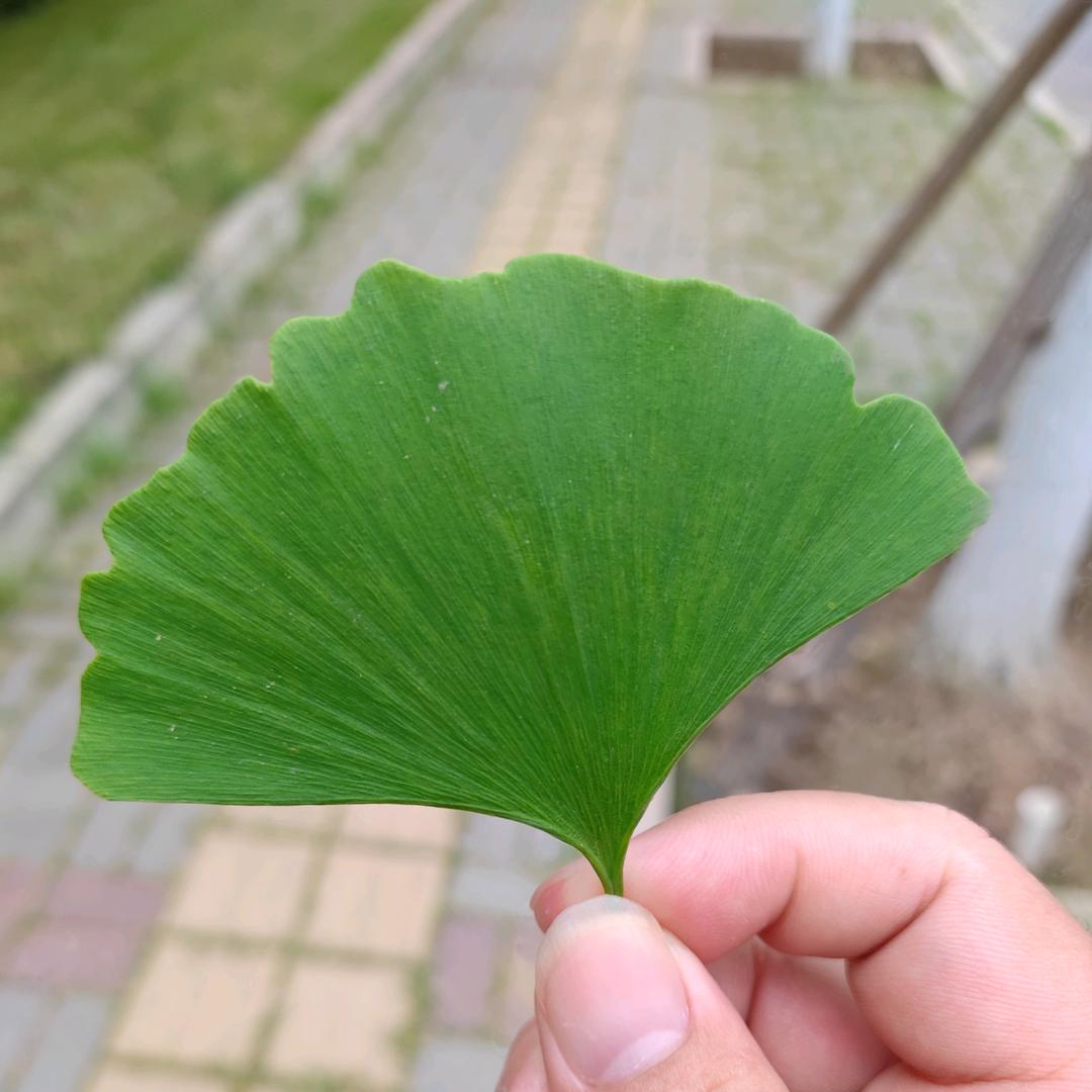 回味从前，毅然有你！