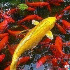 𝑲𝑸𝑾  ོ