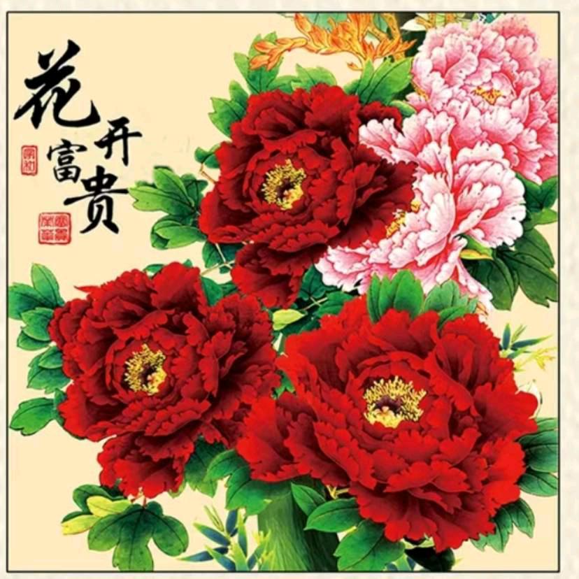 老实人，海棠花