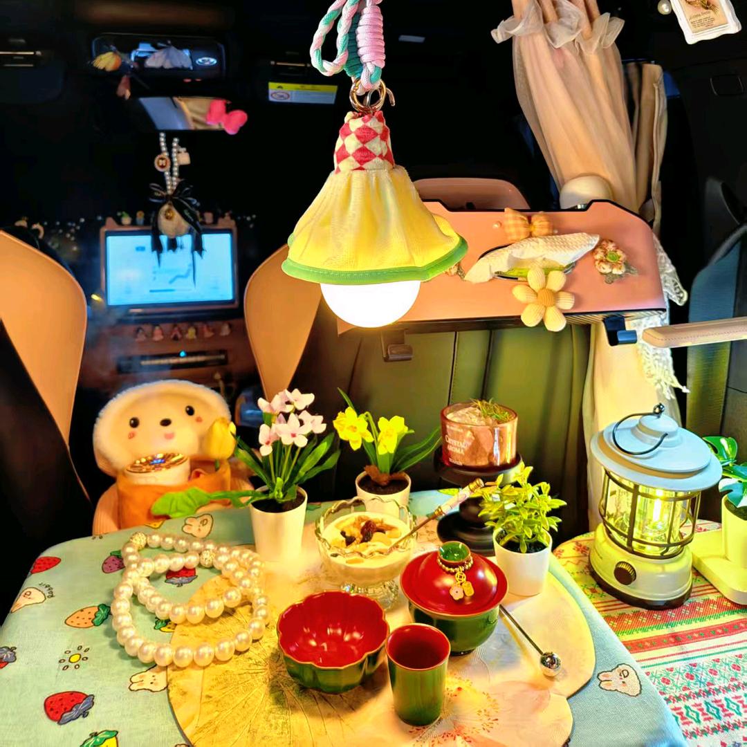 开着海鸥去露营呀