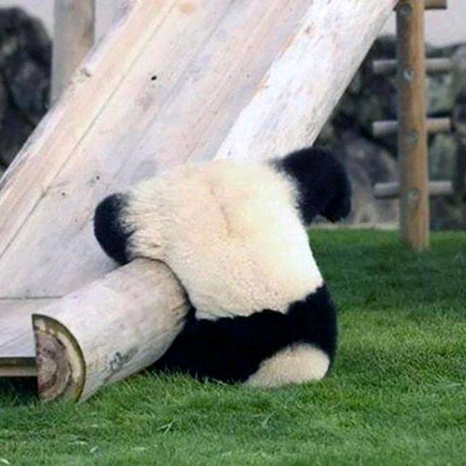 忘天