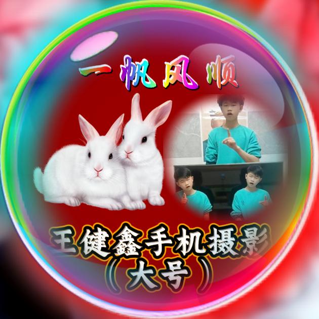 王健鑫手机摄影（大号）