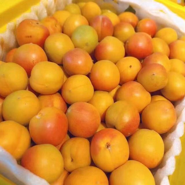 亚生江果业（新疆特产）