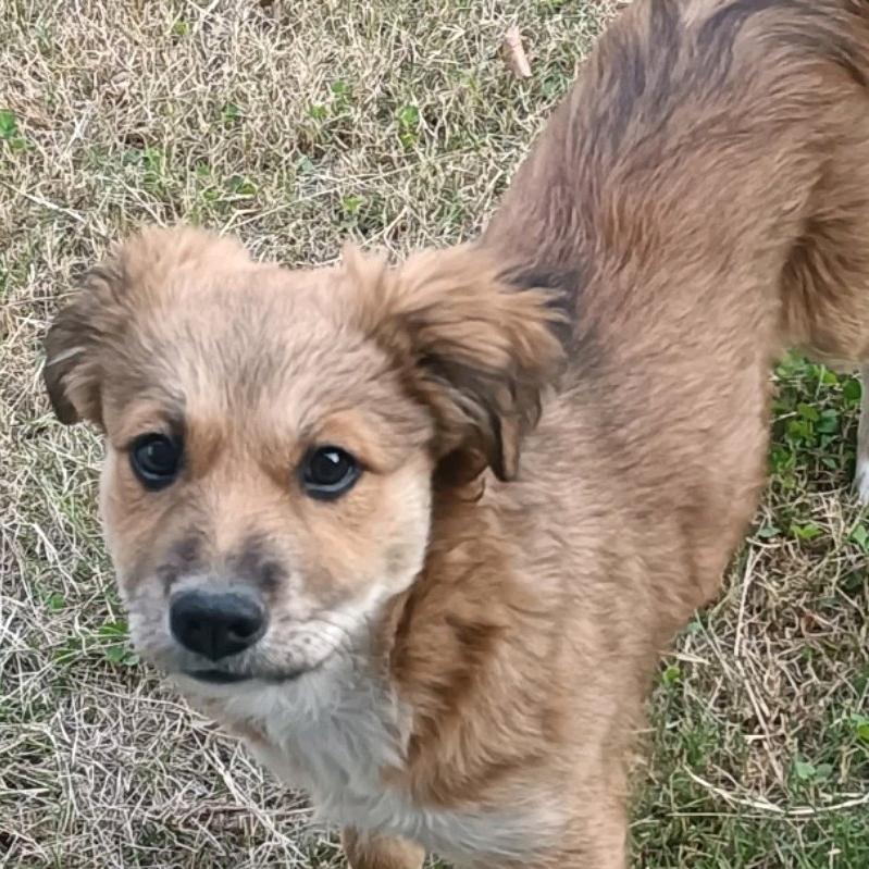 小允子🐵🐵🐵