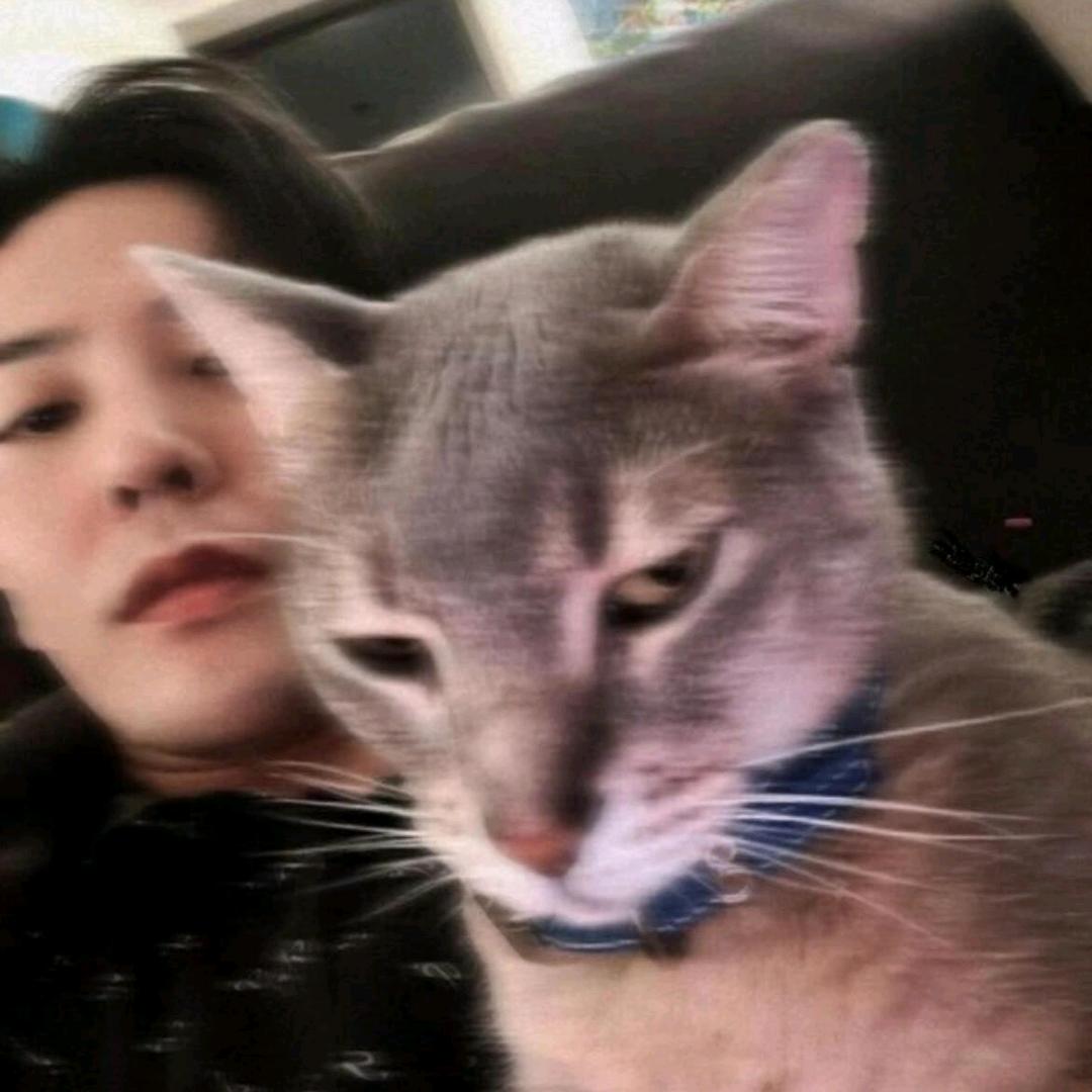 可爱的喵喵la🍓