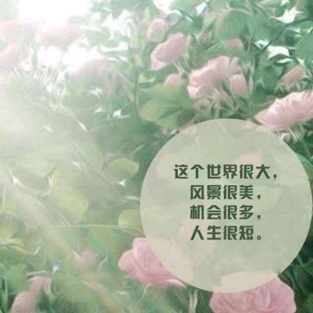 岁月静好