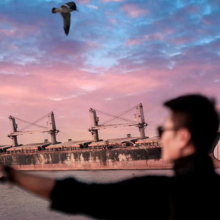 布鲁维斯号的宿命