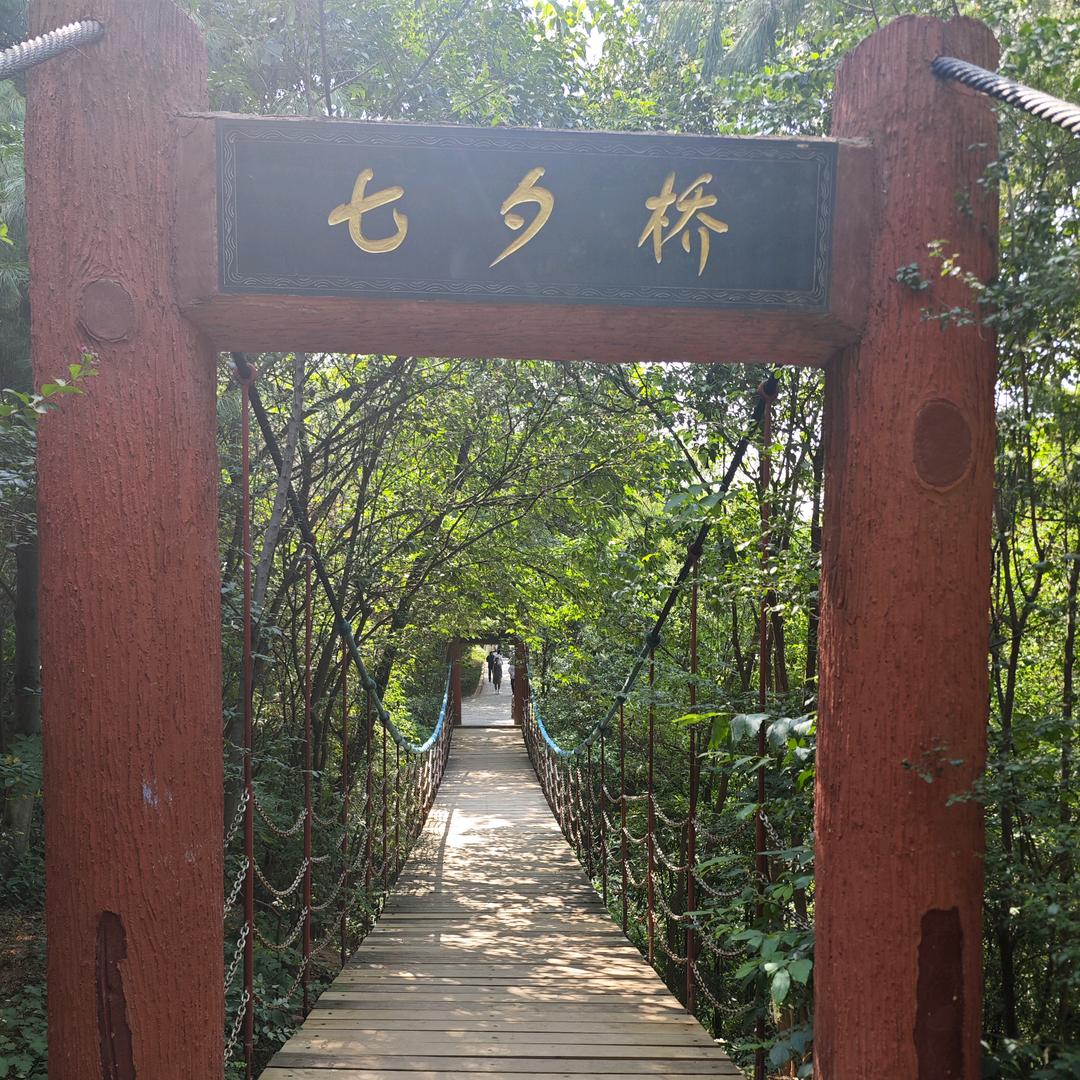 珞楚安
