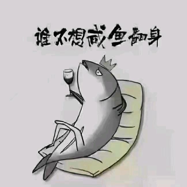 .小鲨鱼