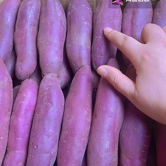 天成宝丰
