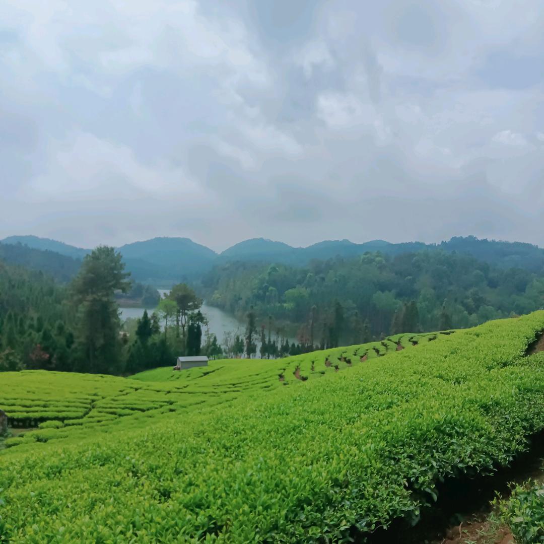 祝刷到视频的朋友开心快乐每一天。