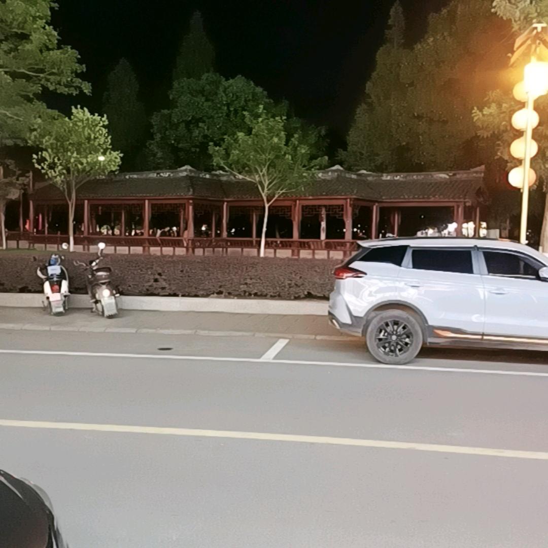 梦里有你