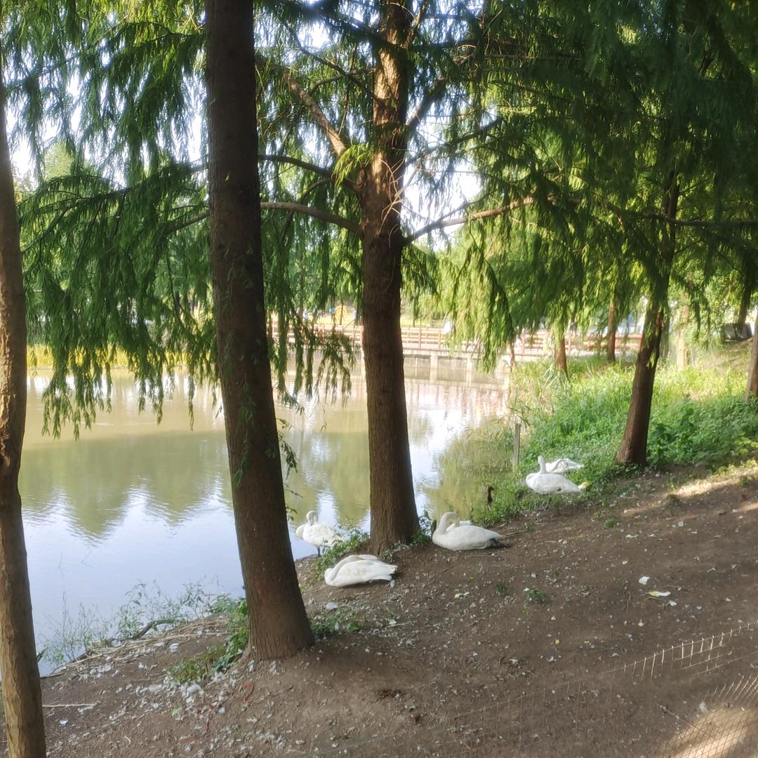 🍃🍉开心🍉🍃