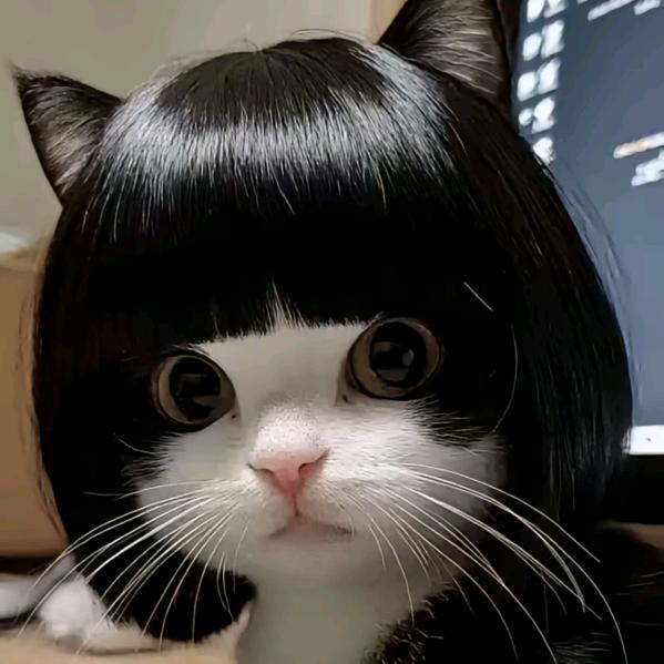 没想好