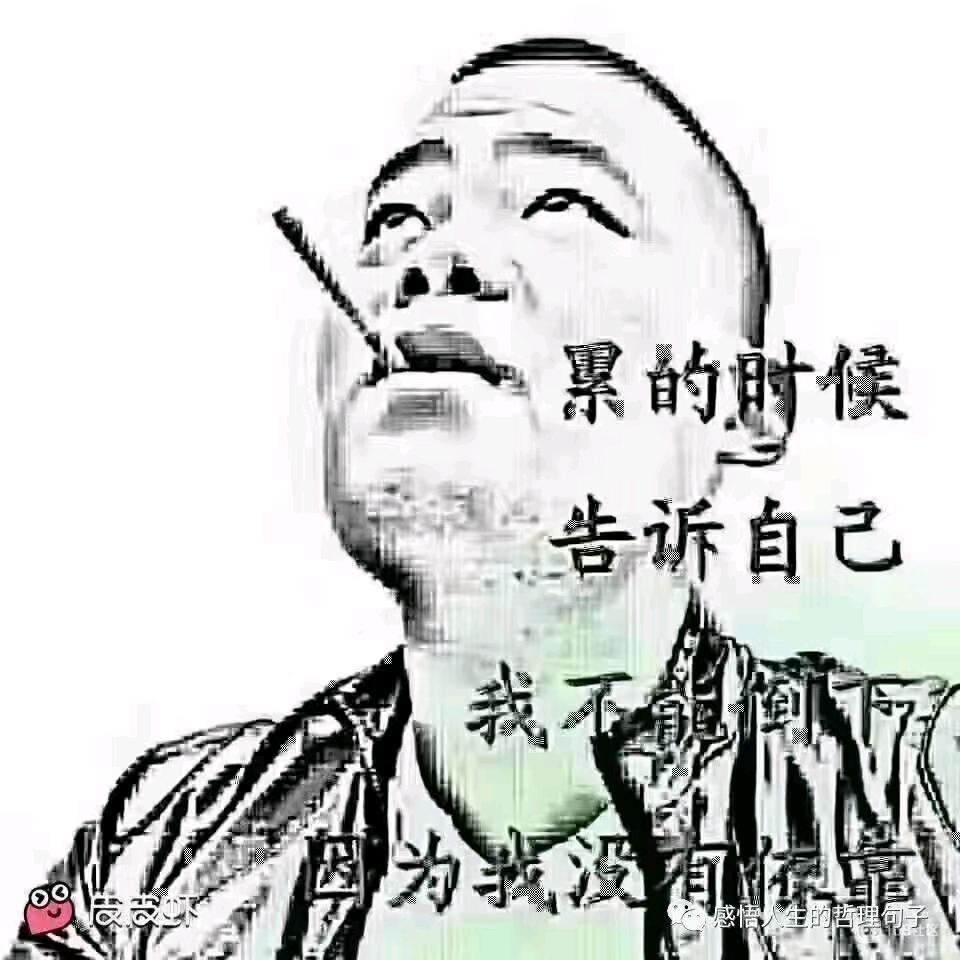 金哥