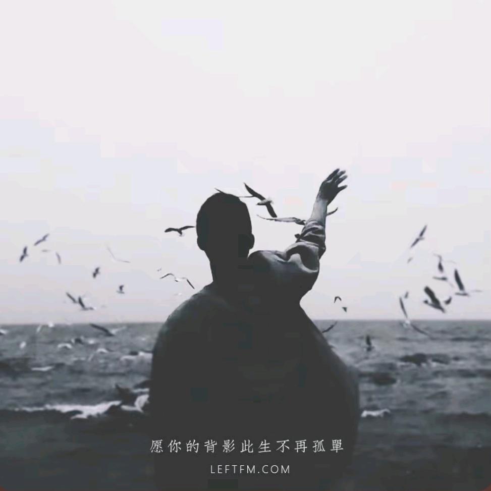 孤帆远影✨