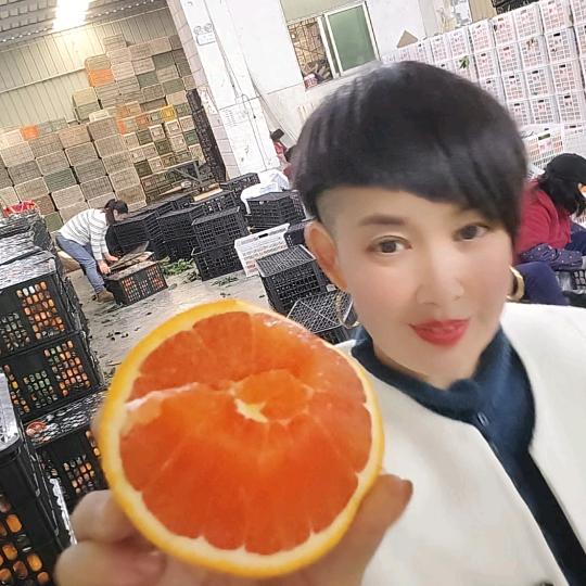 张姐脐橙供应链