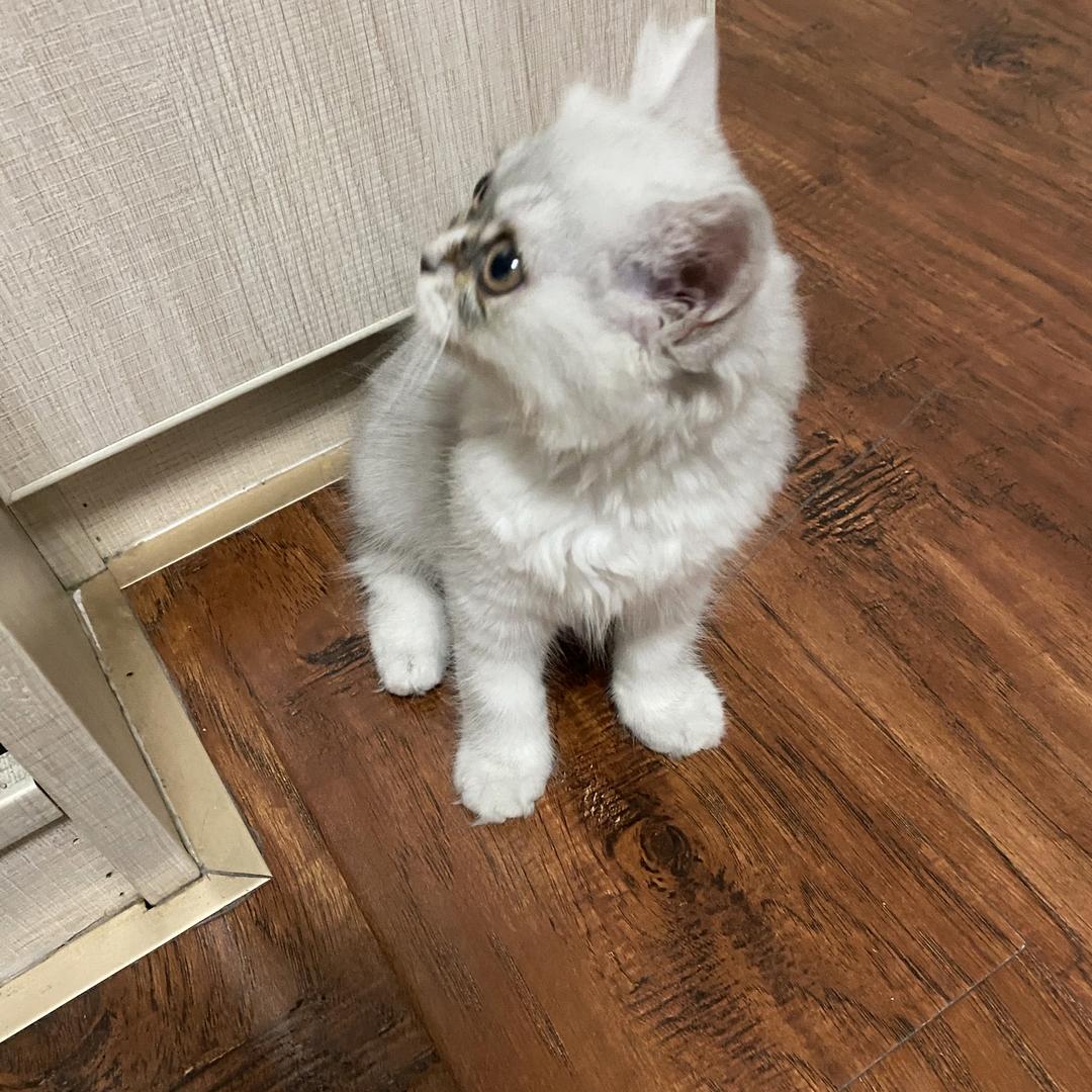 静宝(♡˙︶˙♡)乖