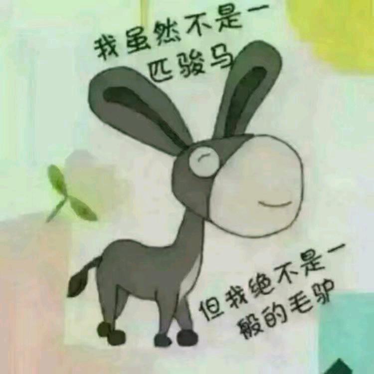 骑毛驴逛地球597