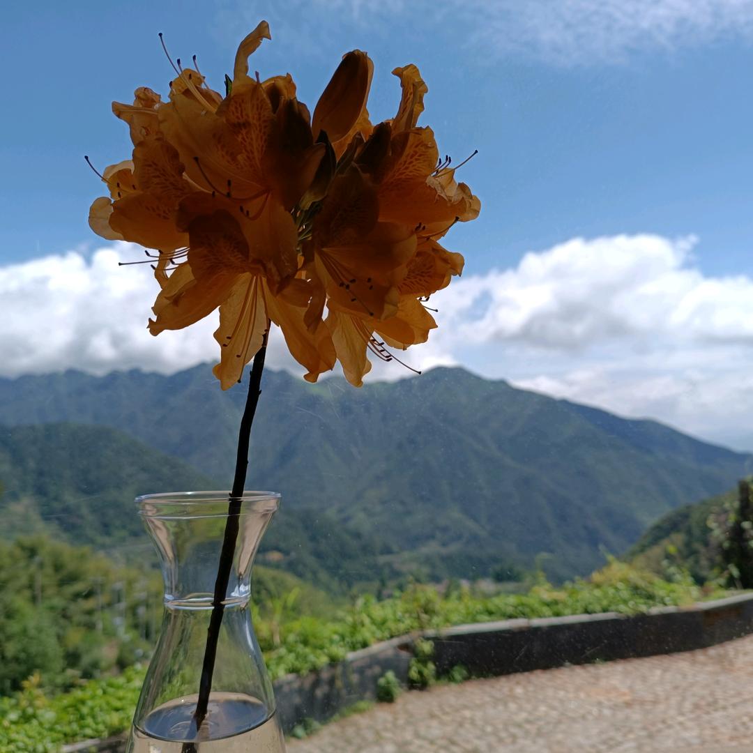 明天更美好冫