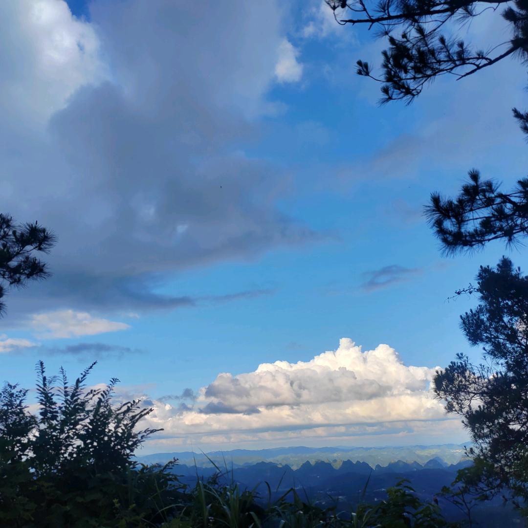 贵州宏车汇二手车服务有限公司