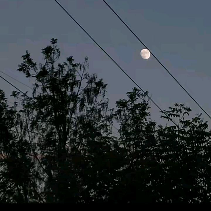 春分