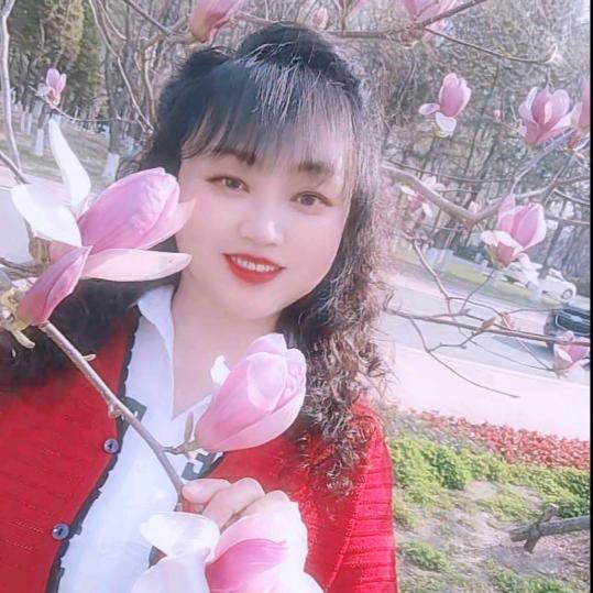 粉色蔷薇