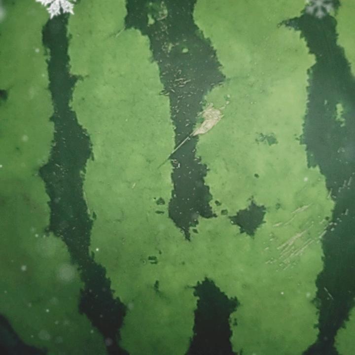 有缘人