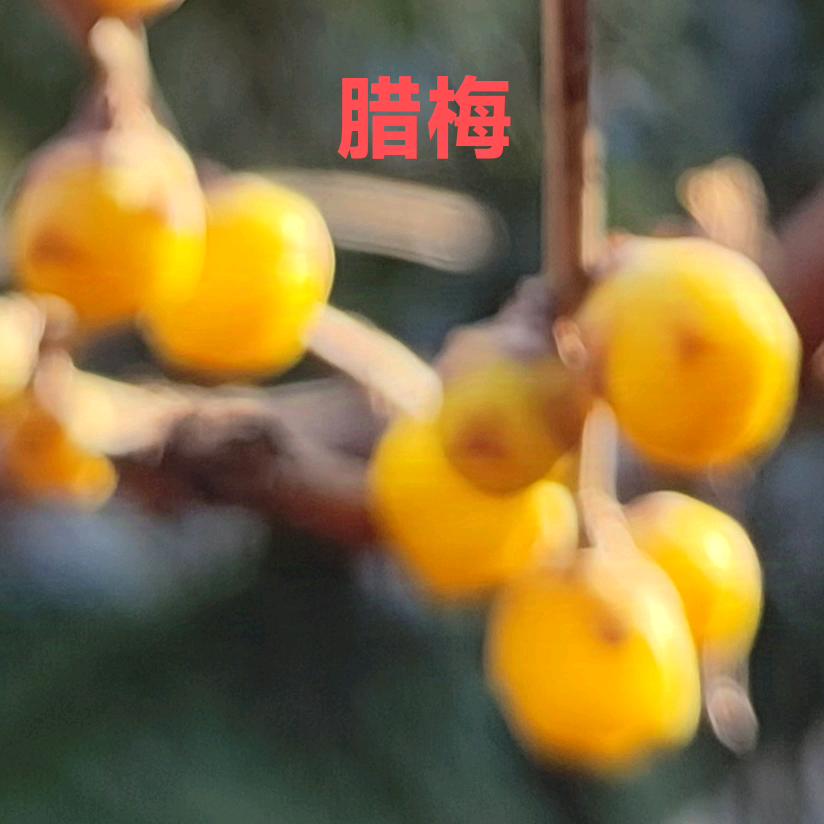 永远美好8