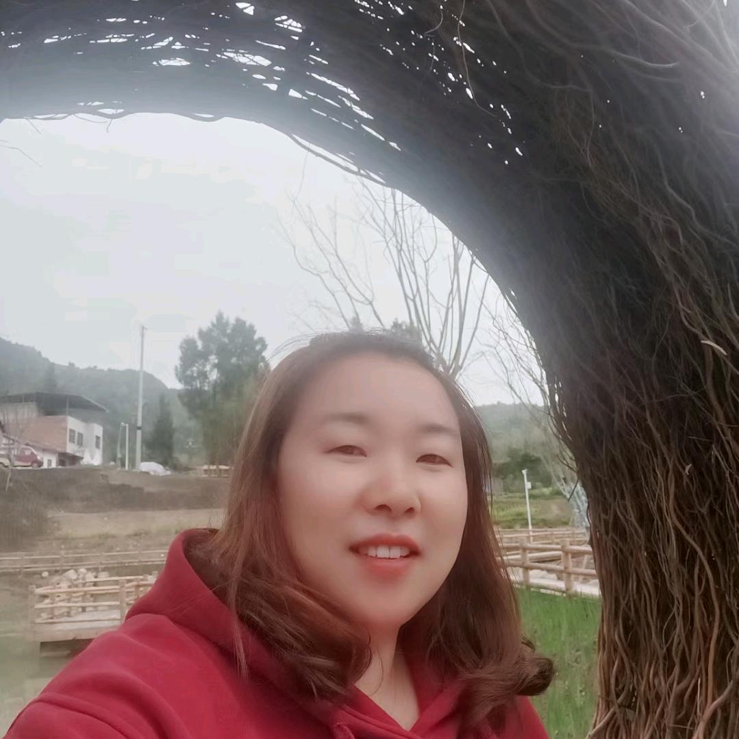 琴琴
