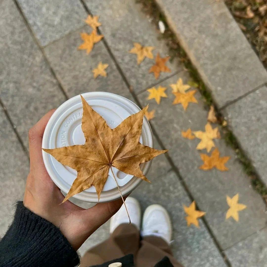 倚风听雨头像