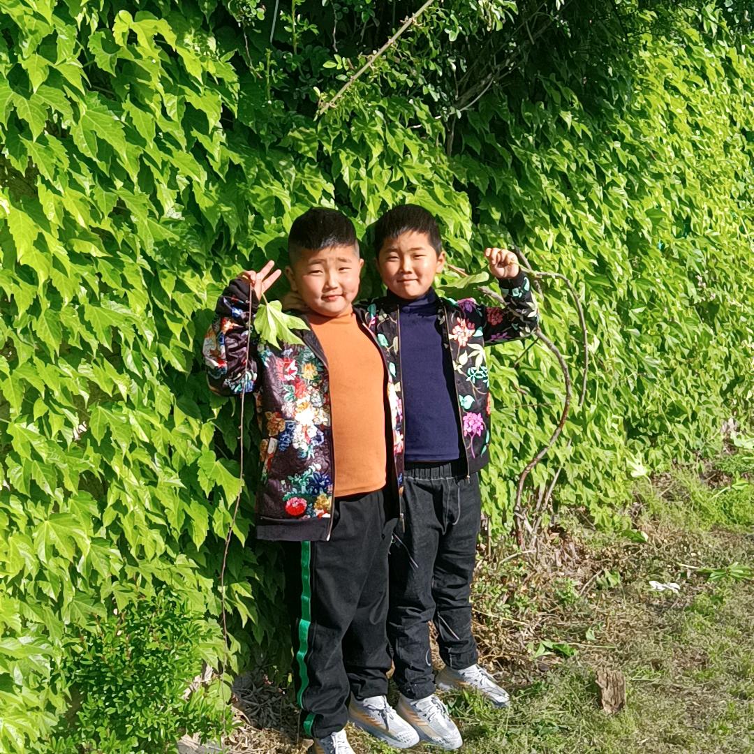 (づ ●─● )づ羊羊