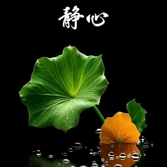 🌿🌿笑口常开🌹❤️