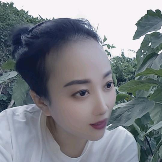 *🐾蝶💞爷🐾*