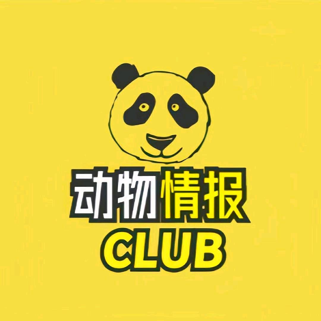 小奶狗观影