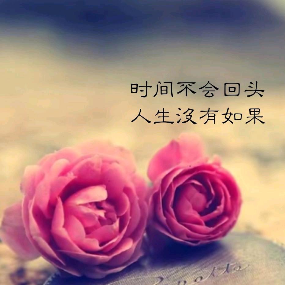 守候你