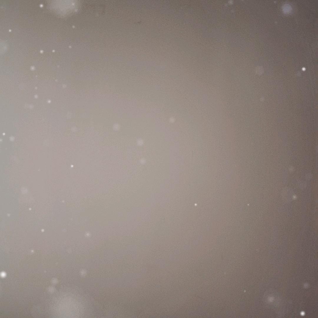 雨儿☔️
