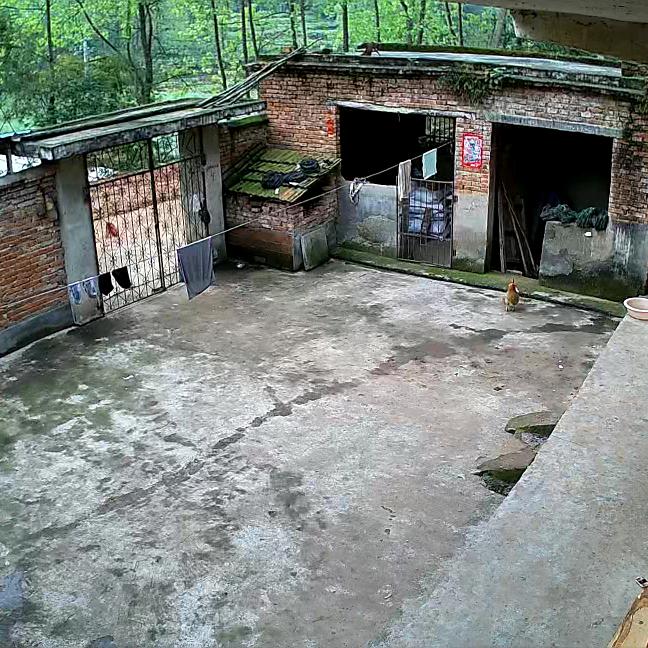 用户6814622776978