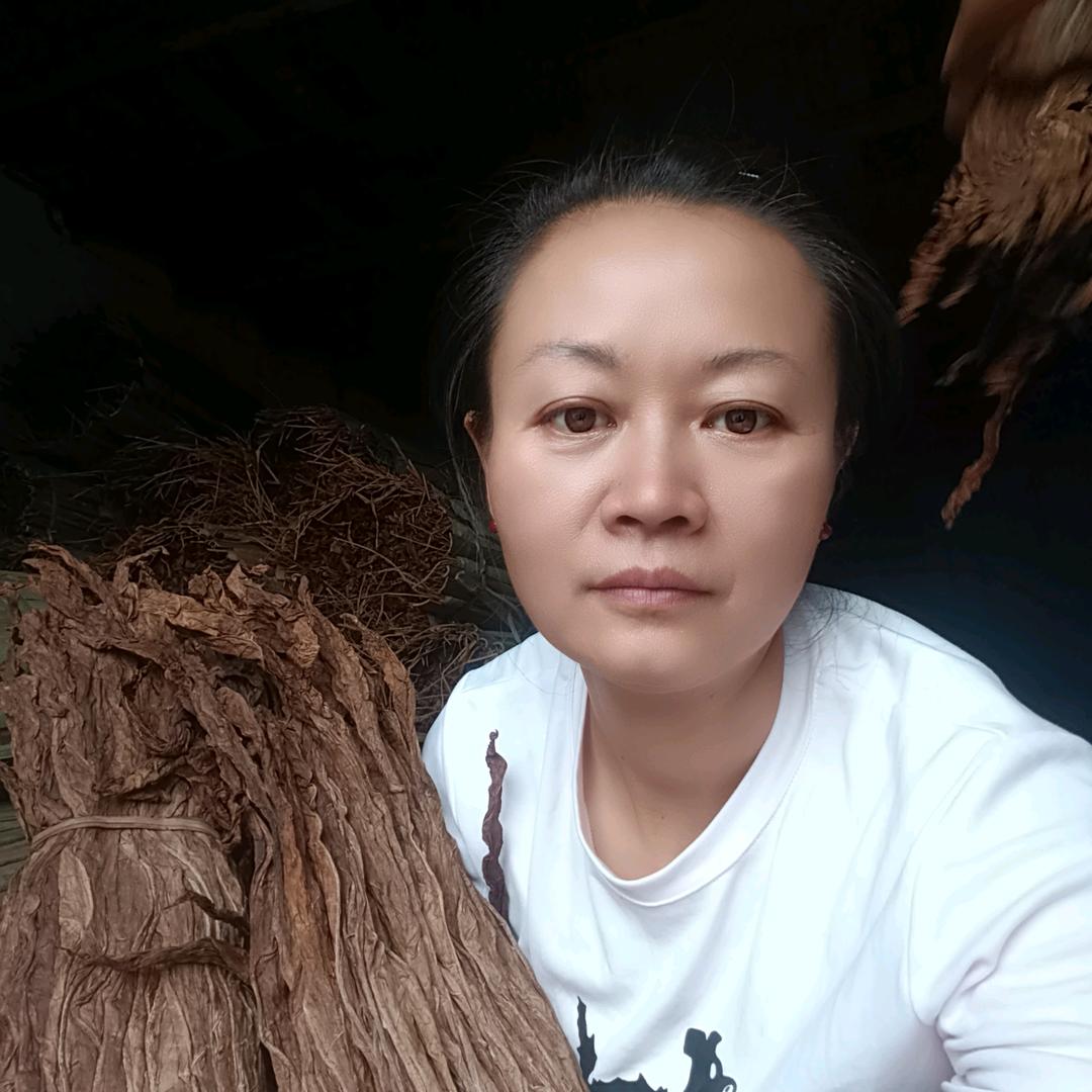 鸿瑕《叶子🚬 土🚬旱🚬》