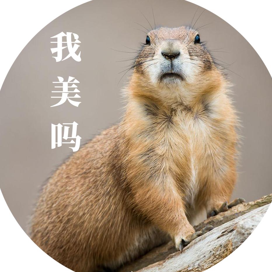 祥云制片厂头像