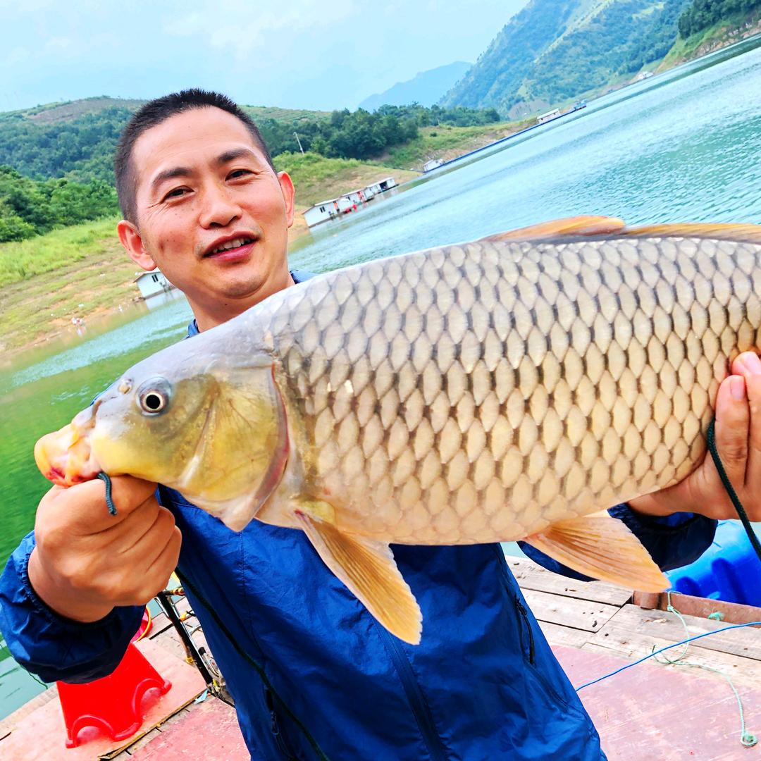 随缘钓鱼
