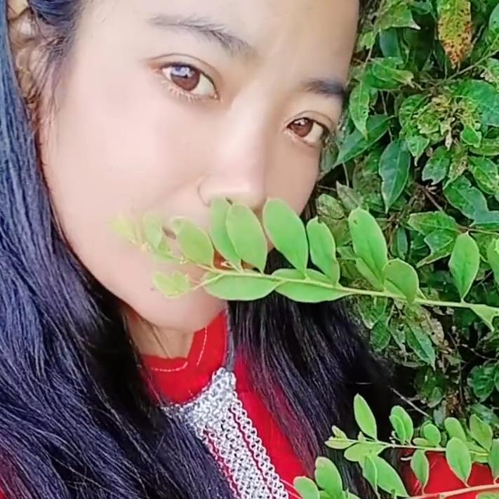 叶和依