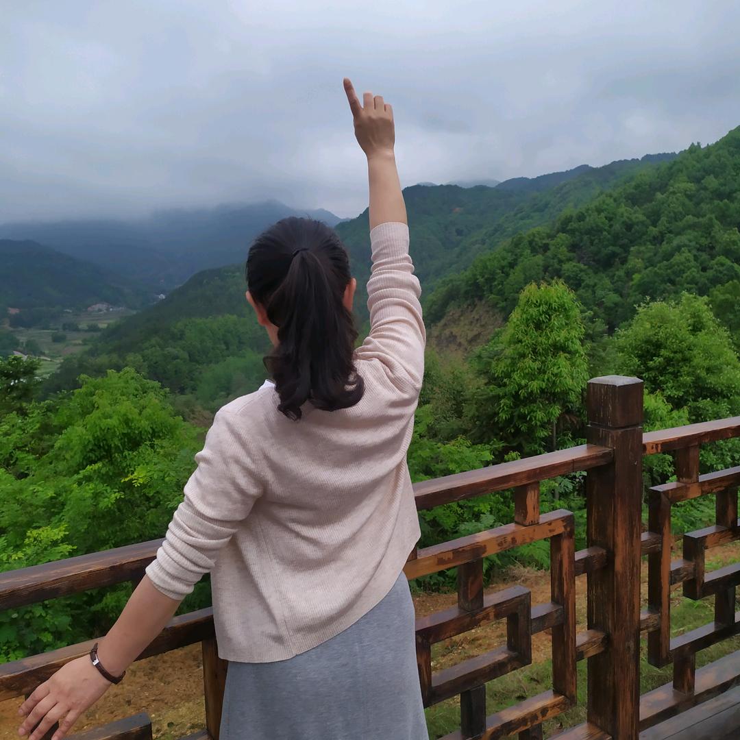 南飞雁