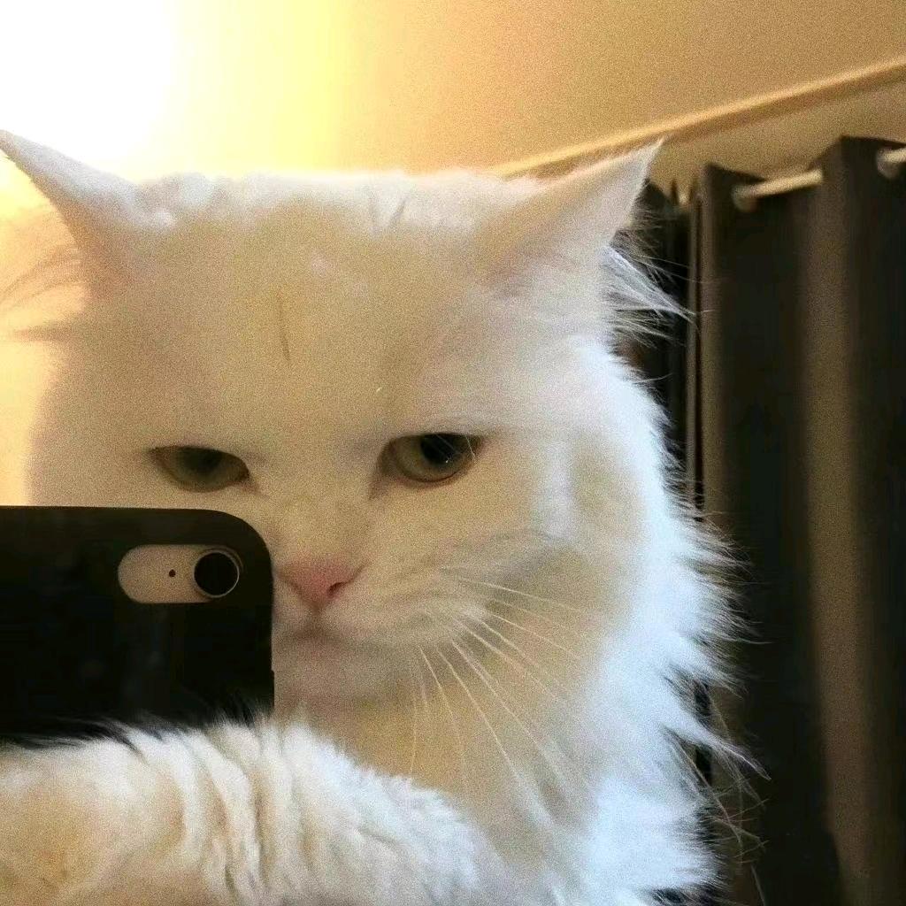 Lzzk