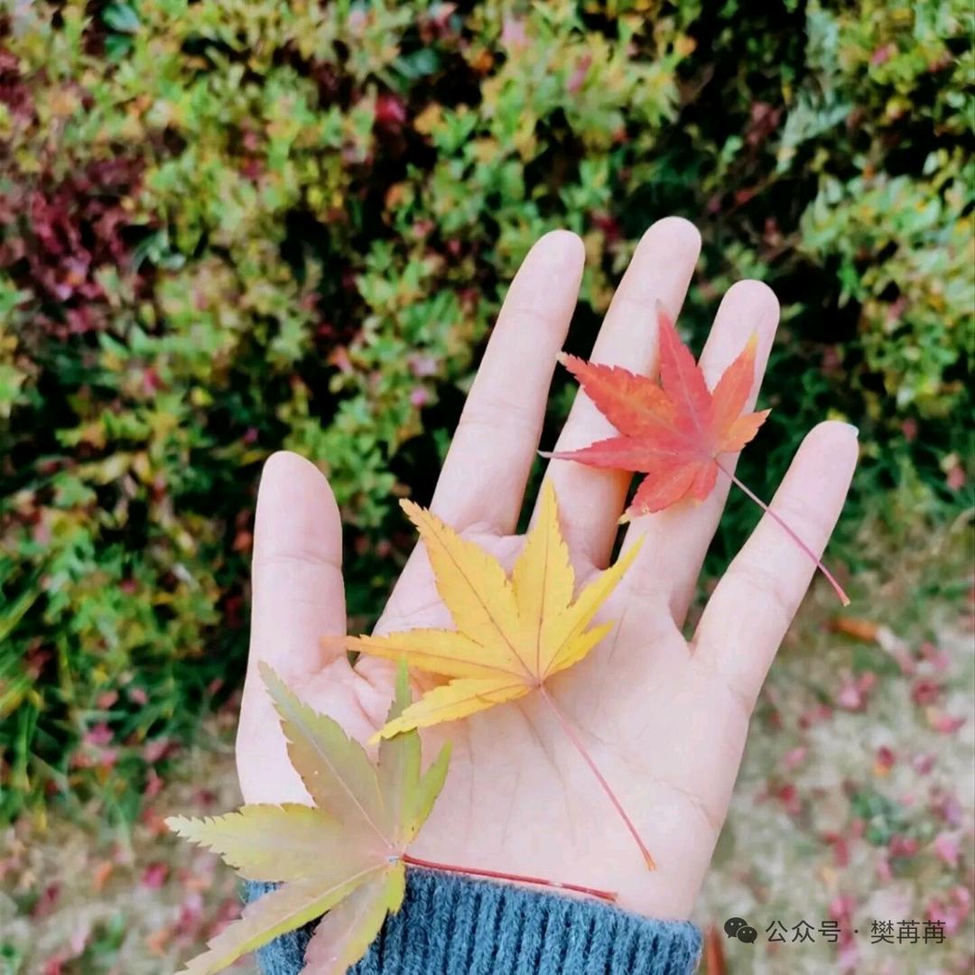 丫头💫💫💫💫